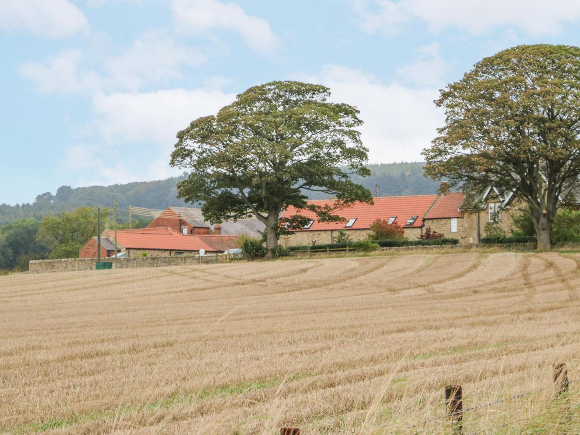 Sheep Pen Cottage Durham Eksteriør billede